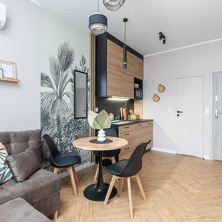 Modern Ac Batorego By Vaya *